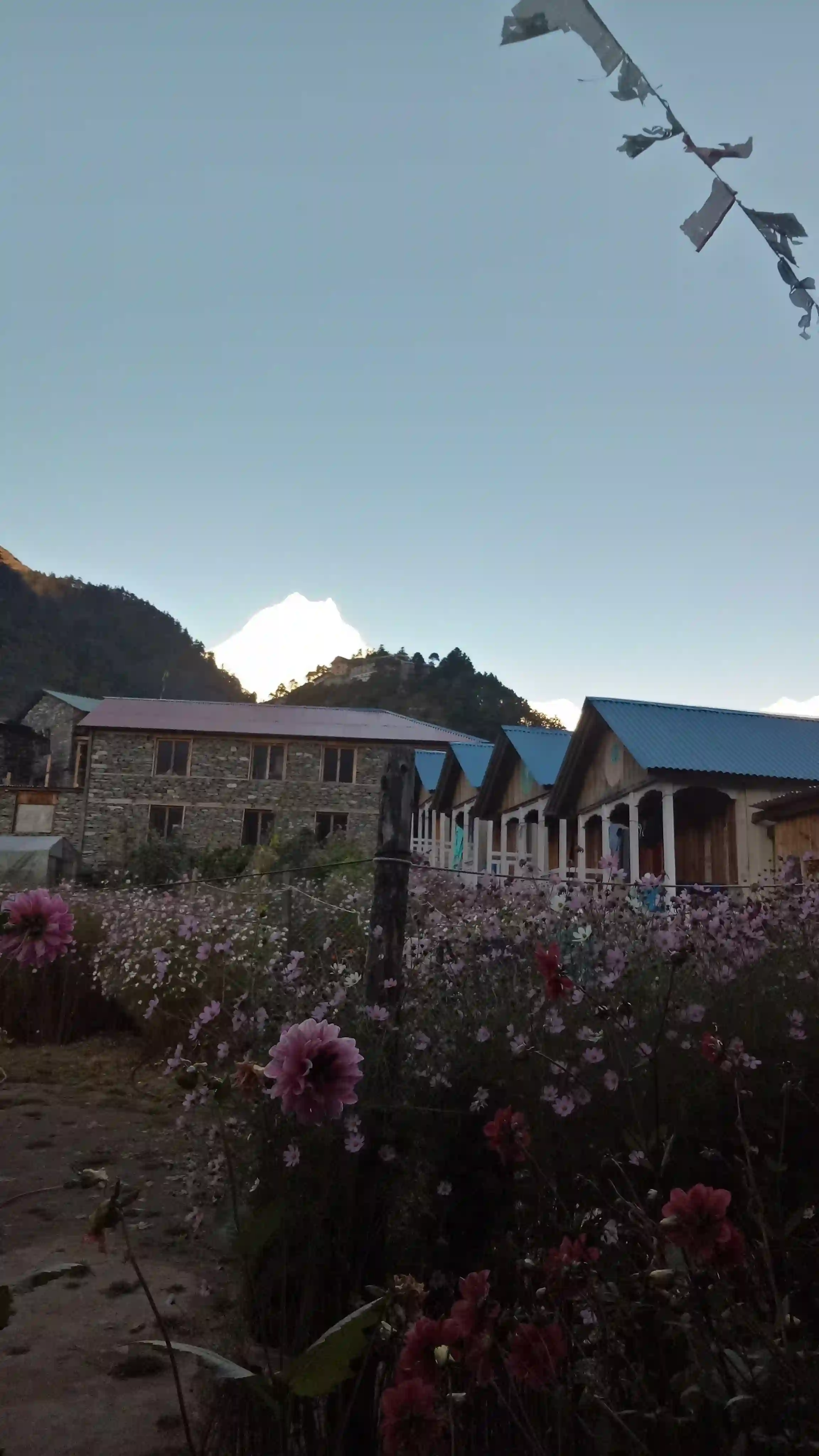 Scenic Annapurna Base Camp Tour
