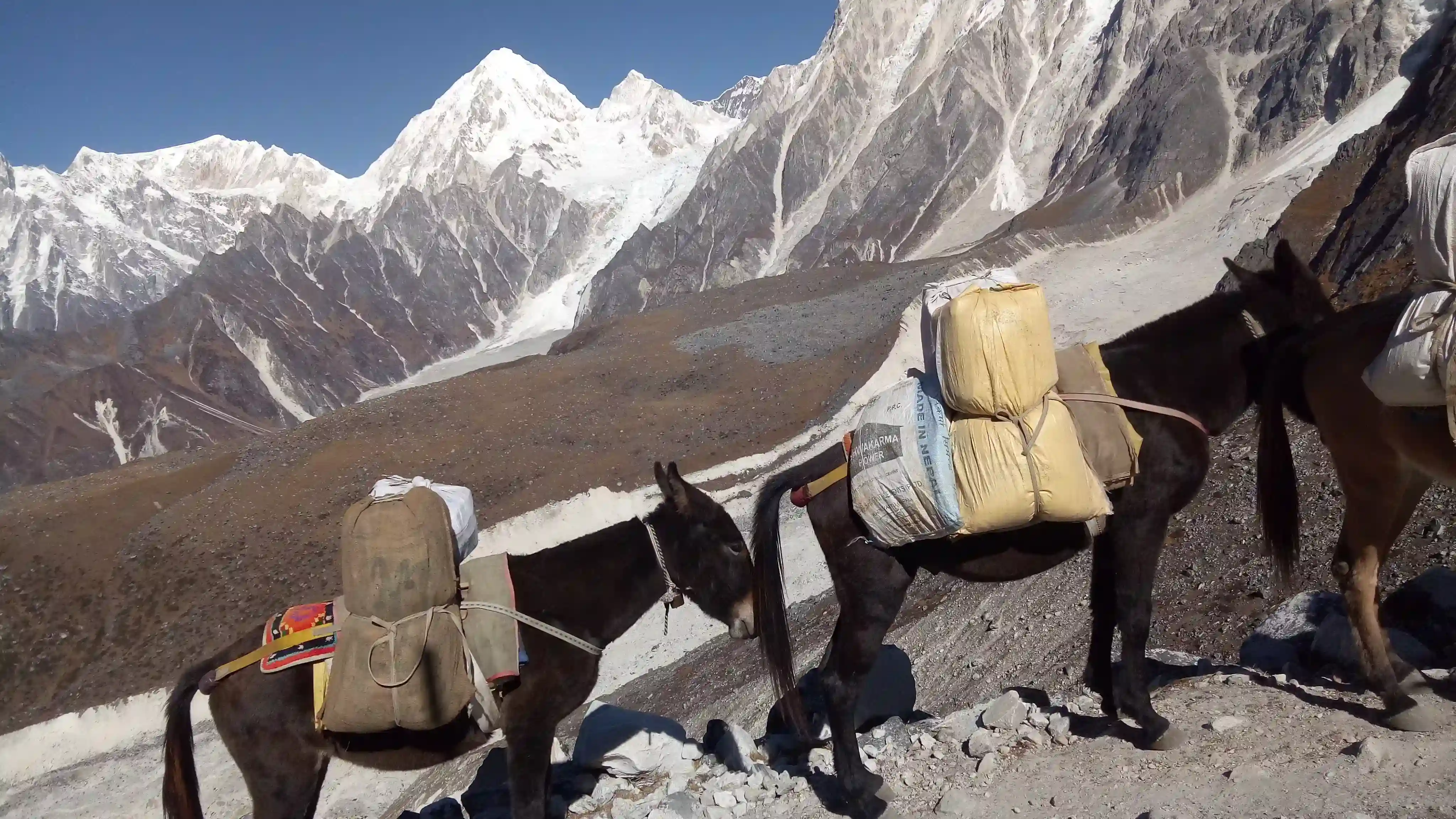 Trekkers Walking Through a Himalayan Mountain Trail with Snow-Capped Peaks
